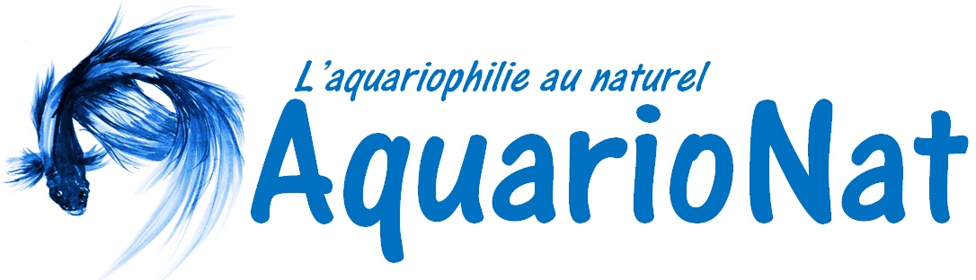 AquarioNat – La nature au service de l'aquariophilie